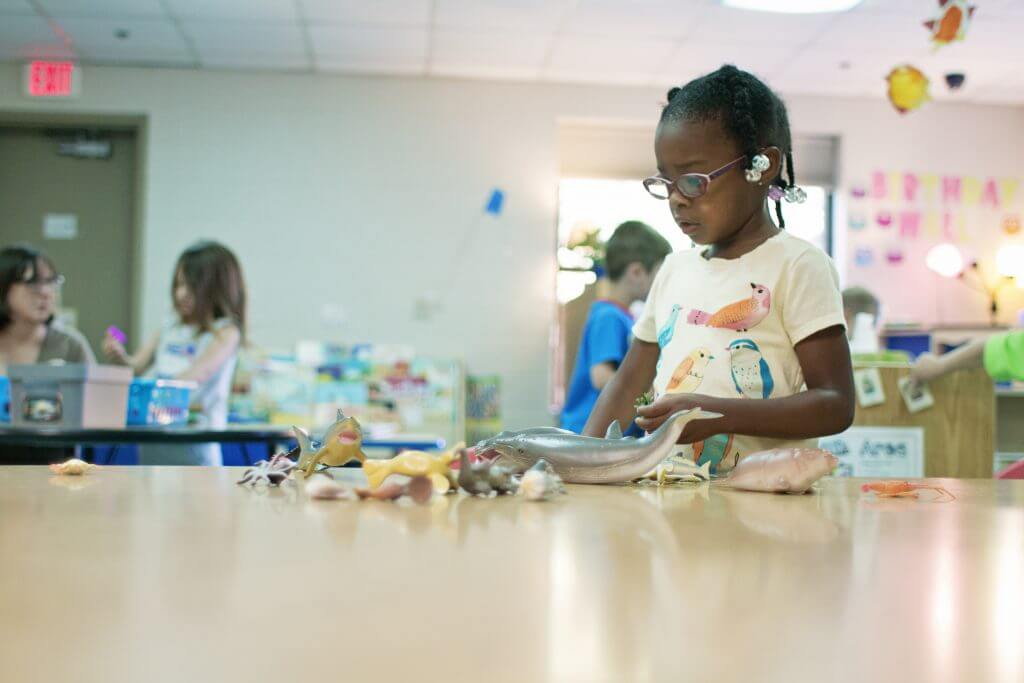The Administration of the Hawaii Early Learning Profile Birth -3